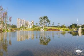 楼村湿地公园