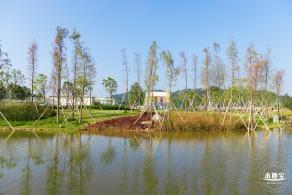 楼村湿地公园
