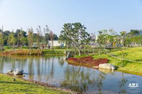 楼村湿地公园