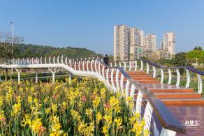 楼村湿地公园