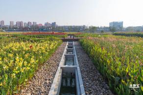 楼村湿地公园