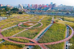 楼村湿地公园