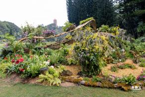 仙湖植物园(蕨类中心+幽溪）