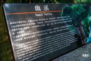 仙湖植物园(蕨类中心+幽溪）