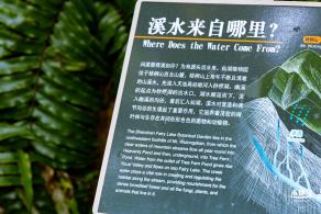 仙湖植物园(蕨类中心+幽溪）