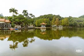 仙湖植物园(蕨类中心+幽溪）