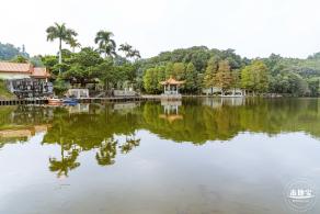 仙湖植物园(蕨类中心+幽溪）