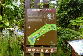 仙湖植物园(蕨类中心+幽溪）