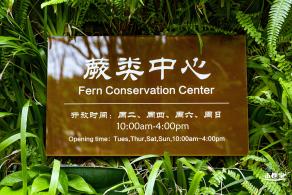仙湖植物园(蕨类中心+幽溪）