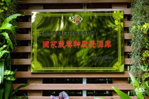 仙湖植物园(蕨类中心+幽溪）