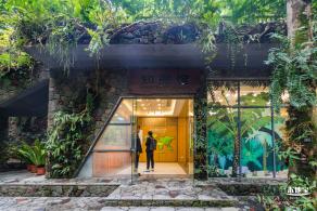 仙湖植物园(蕨类中心+幽溪）