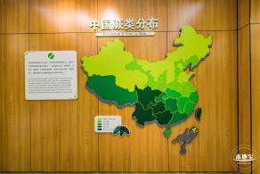 仙湖植物园(蕨类中心+幽溪）