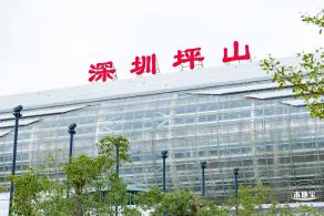 深圳坪山站