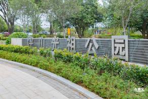 坪山光祖公园