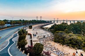 西湾红树林