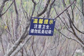 梅园2021