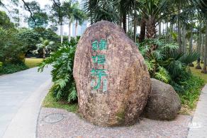荔枝公园梅花