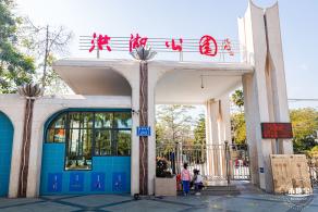 洪湖公园落羽杉