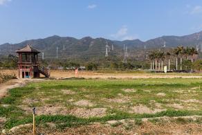 大鹏美丽乡村