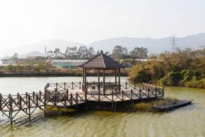 大鹏美丽乡村
