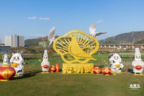 光明欢乐田园油菜花