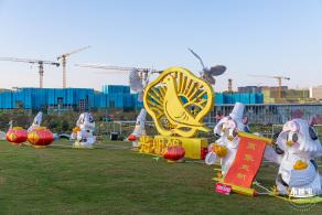 光明欢乐田园油菜花