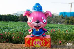 光明欢乐田园油菜花