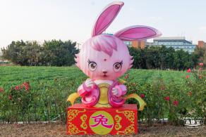 光明欢乐田园油菜花