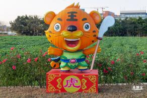 光明欢乐田园油菜花
