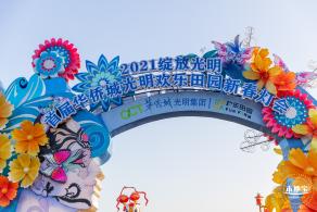 光明欢乐田园油菜花