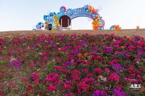 光明欢乐田园油菜花