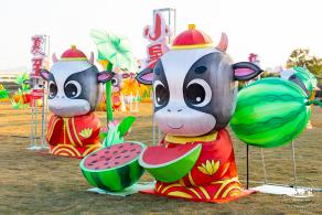 光明欢乐田园油菜花
