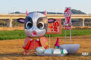 光明欢乐田园油菜花