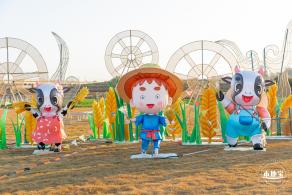 光明欢乐田园油菜花