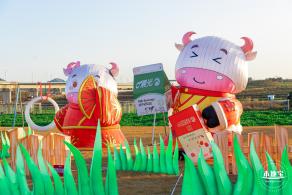 光明欢乐田园油菜花