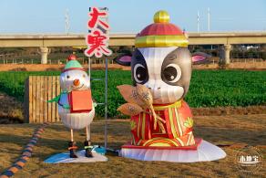 光明欢乐田园油菜花