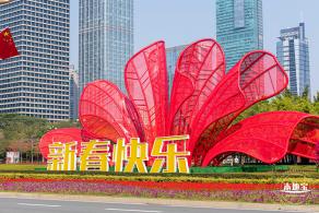 市民中心油菜花