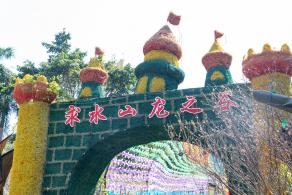 求水山龙之谷樱花