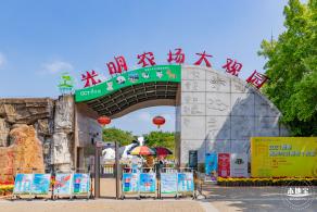光明农场大观园向日葵