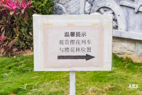 华英路樱花主题公园