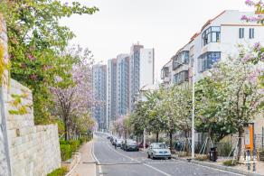 华英路樱花主题公园
