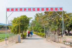 美丽乡村百花节