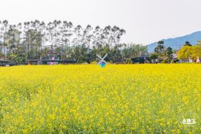 美丽乡村百花节