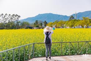 美丽乡村百花节