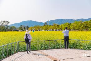 美丽乡村百花节