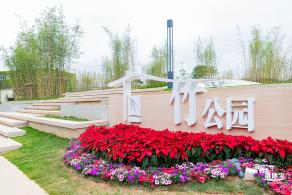茜坑老村竹公园