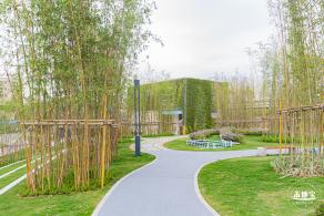 茜坑老村竹公园