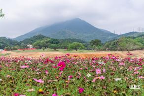 恩上湿地公园