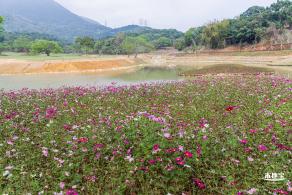 恩上湿地公园