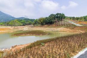 恩上湿地公园